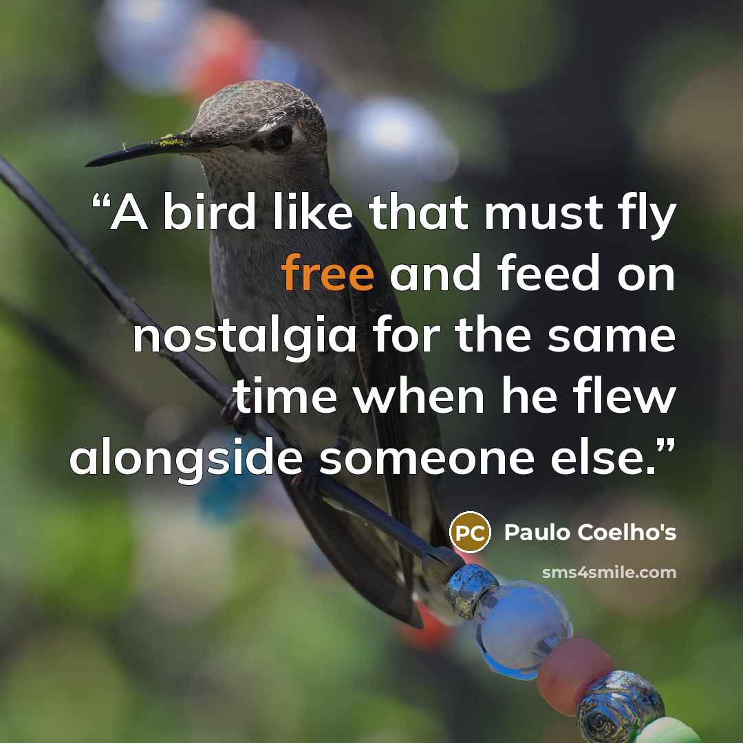 “A bird like that must fly free and feed on nostalgia for the same time when he flew alongside someone else.” quote by Paulo Coelho's