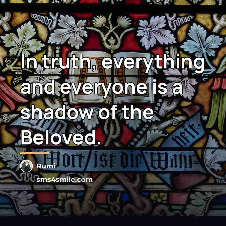 “In truth, everything and everyone is a shadow of the…” quote by Rumi