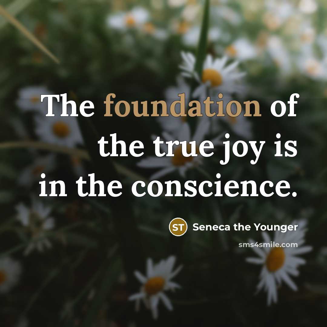 “The foundation of the true joy is in the conscience.…” quote by Seneca the Younger