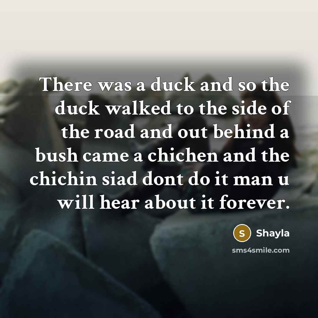 “There was a duck and so the duck walked to the side of the road and out behind a bush came a chichen and the chichin siad dont do it man u will hear about it forever.” quote by Shayla