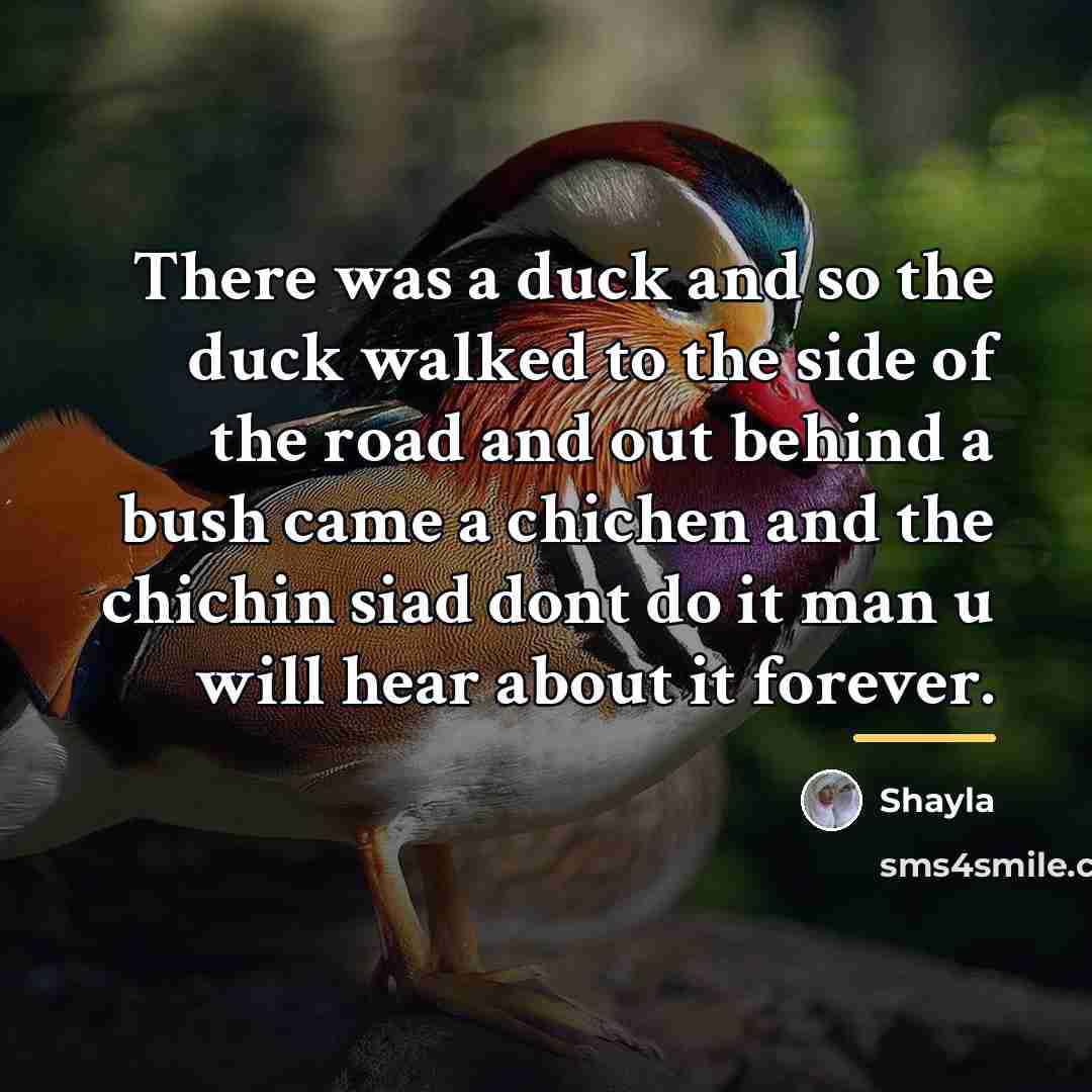 “There was a duck and so the duck walked to…” quote by Shayla