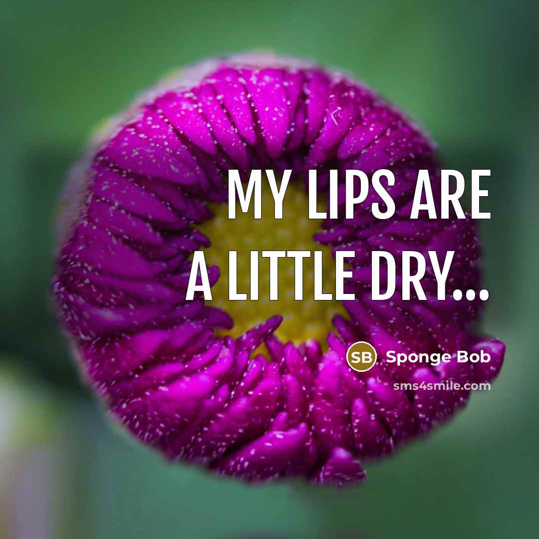 “My lips are a little dry...…” quote by Sponge Bob
