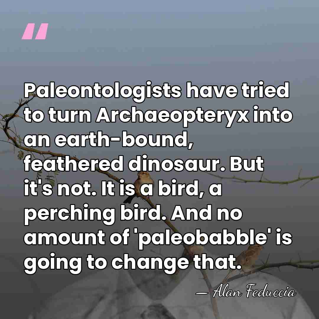 Paleontologists have tried to turn Archaeopteryx into an earth-bound, feathered dinosaur. But&hellip; - Alan Feduccia
