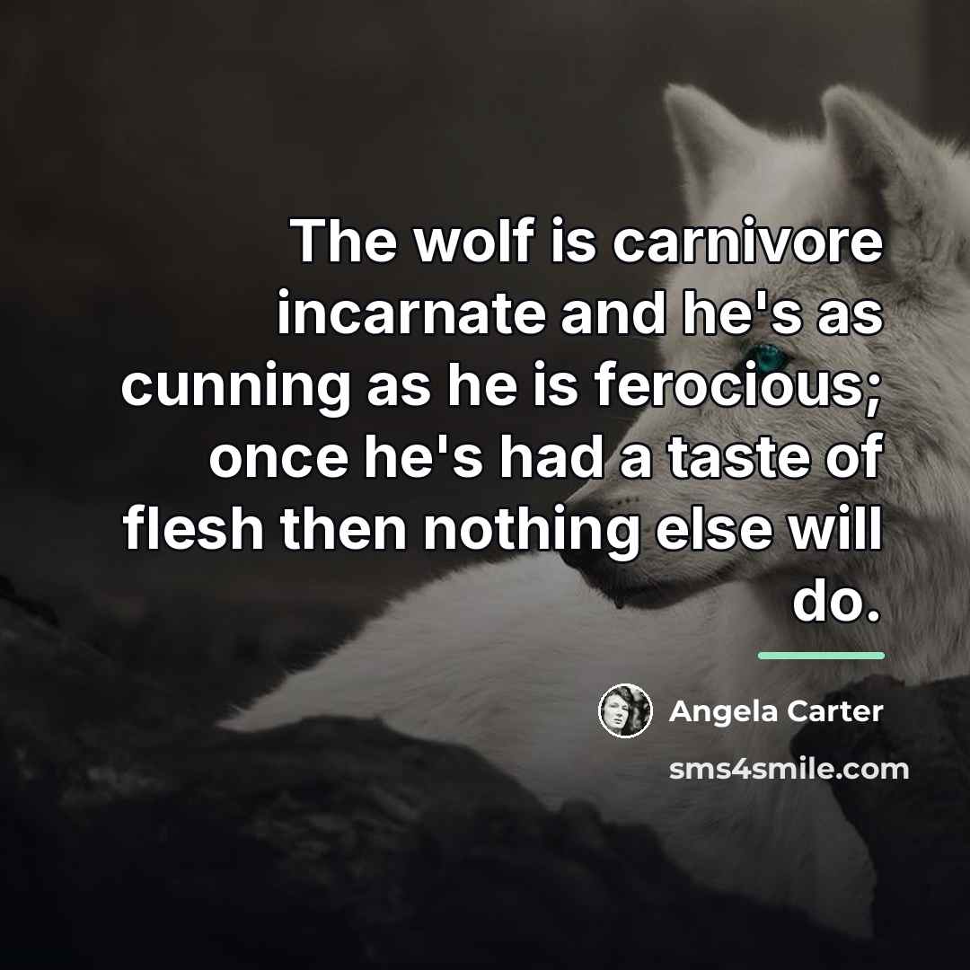 “The wolf is carnivore incarnate and he's as cunning as…” quote by Angela Carter