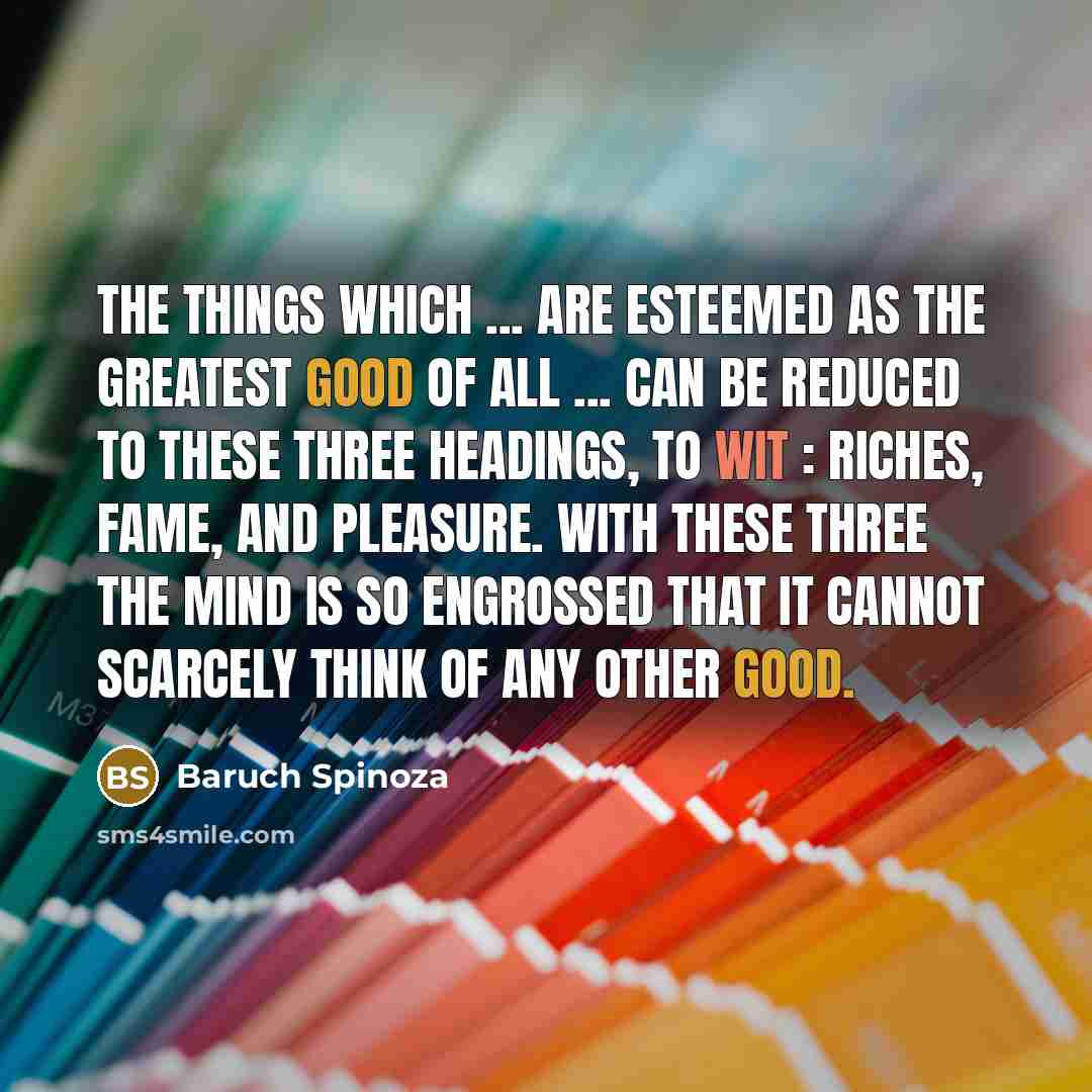 “The things which ... are esteemed as the greatest good…” quote by Baruch Spinoza