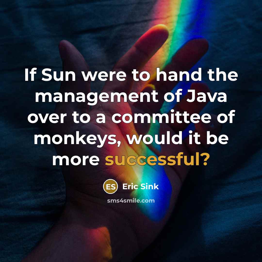 “If Sun were to hand the management of Java over…” quote by Eric Sink
