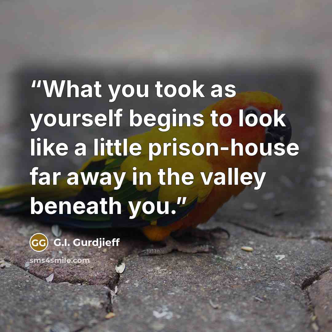 “What you took as yourself begins to look like a little prison-house far away in the valley beneath you.” quote by G.I. Gurdjieff