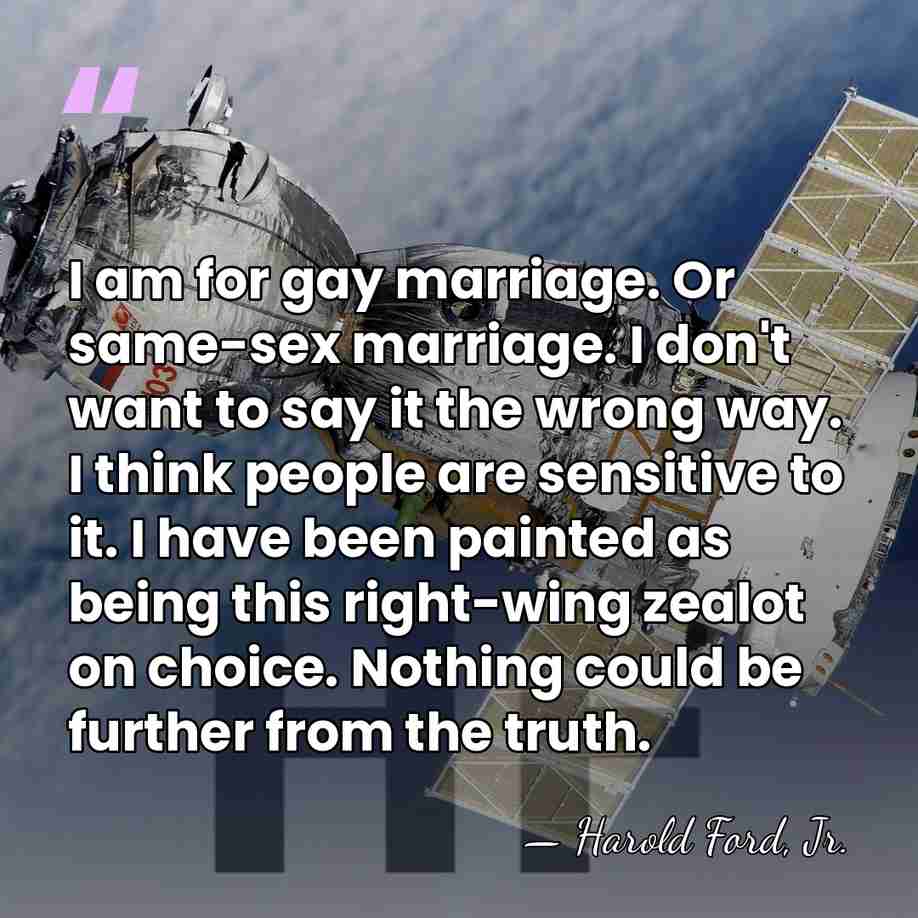 I am for gay marriage. Or same-sex marriage. I don't want to&hellip; - Harold Ford, Jr.