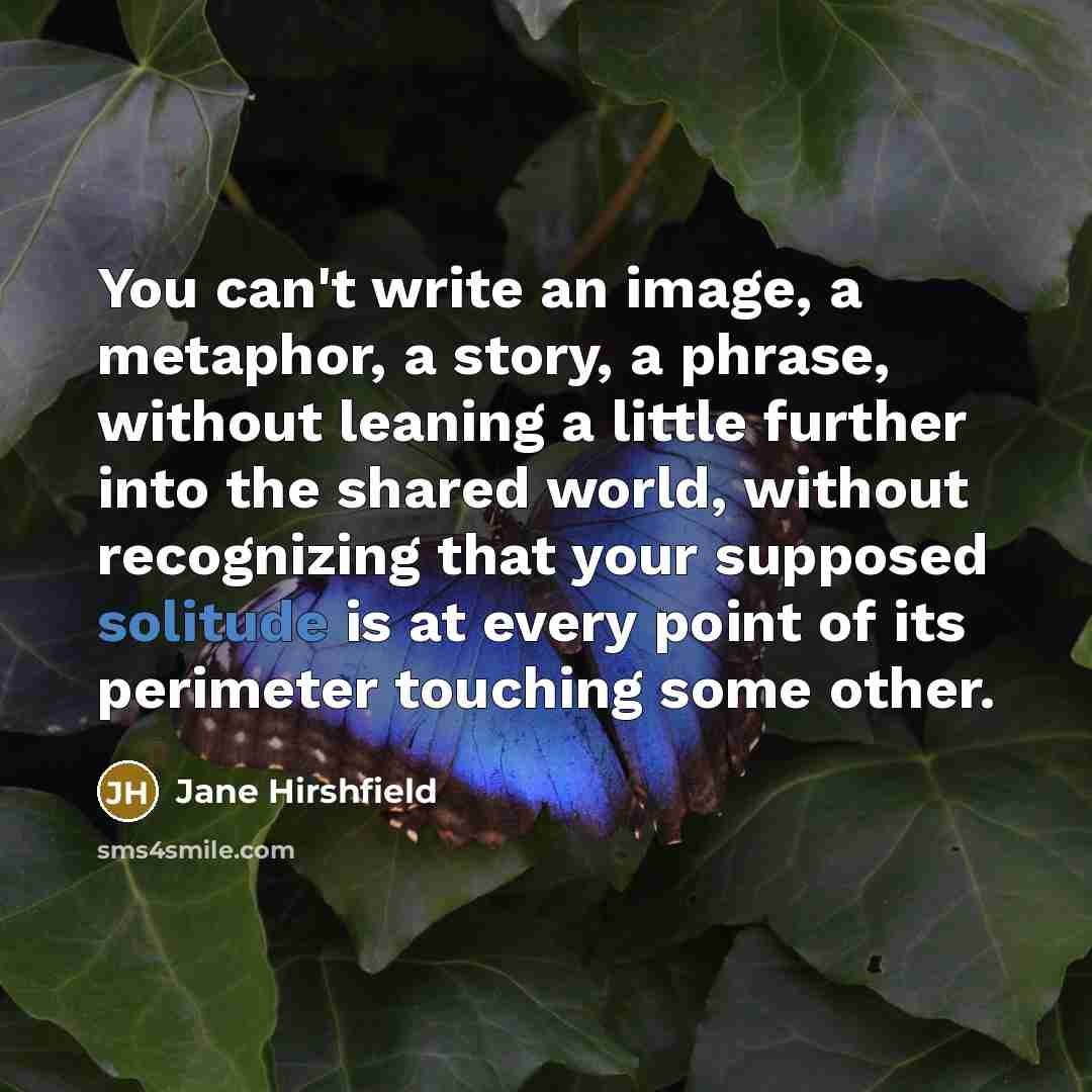 “You can't write an image, a metaphor, a story, a…” quote by Jane Hirshfield