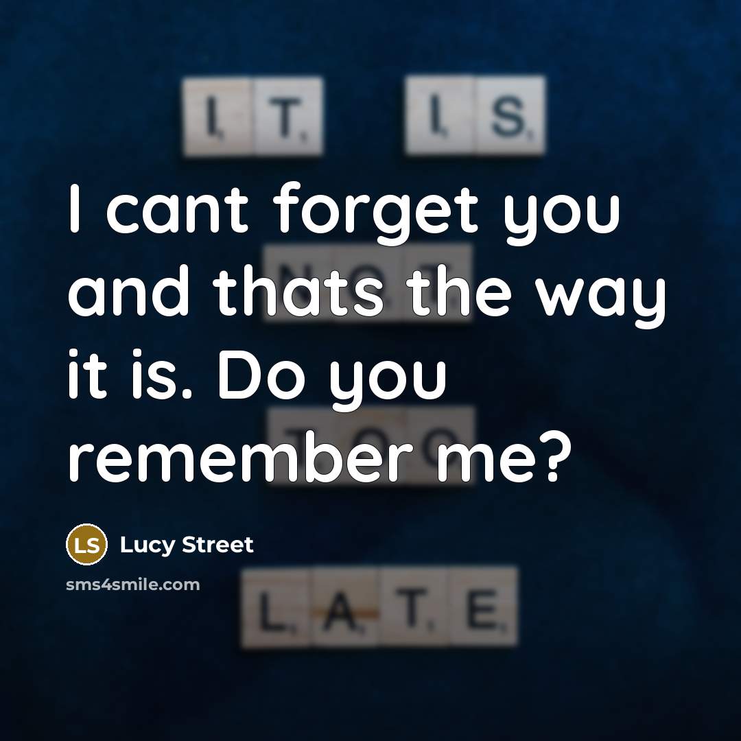 “I cant forget you and thats the way it is. Do you remember me?” quote by Lucy Street