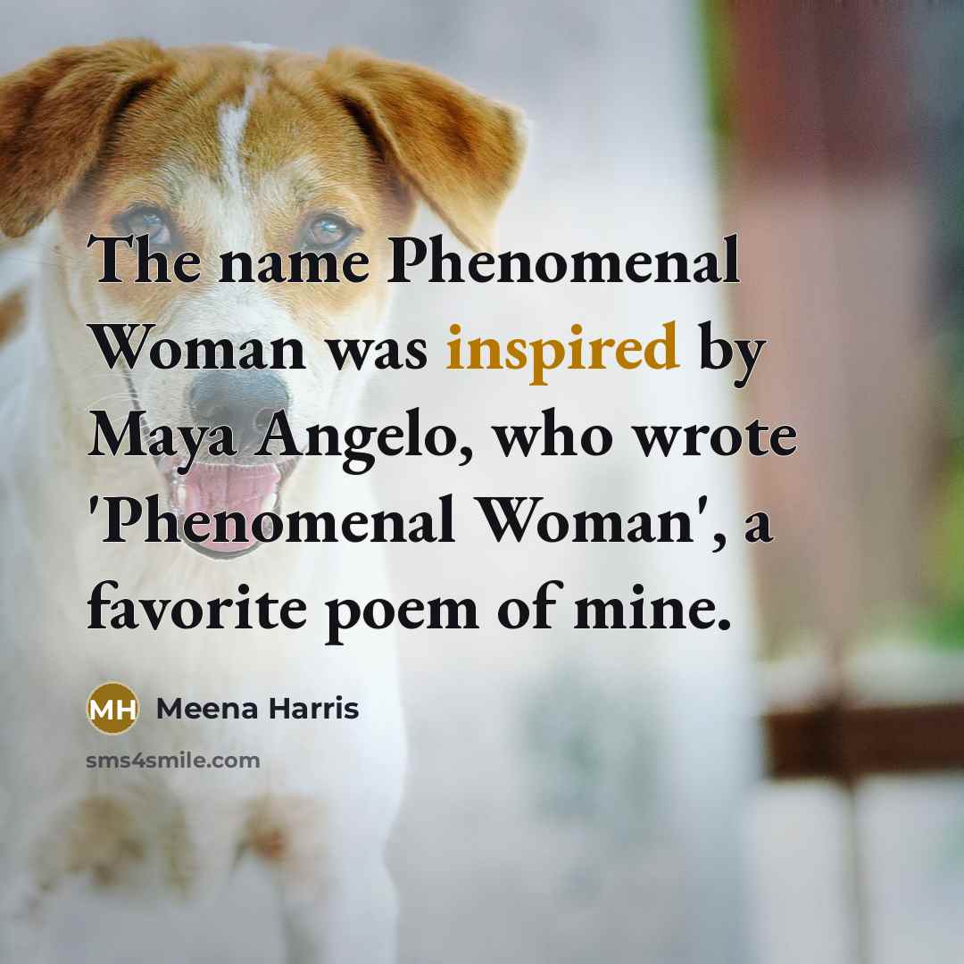 “The name Phenomenal Woman was inspired by Maya Angelo, who…” quote by Meena Harris