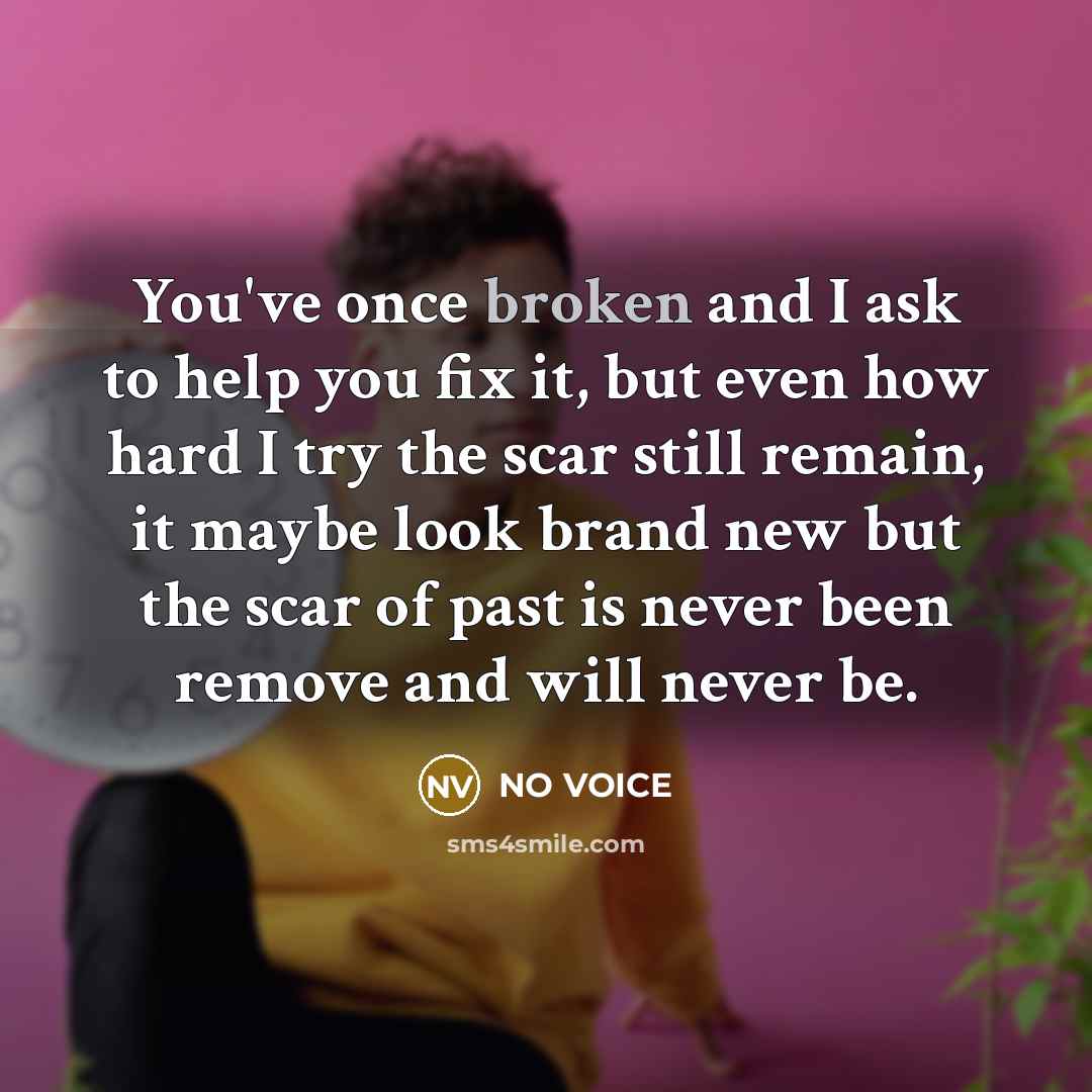 “You've once broken and I ask to help you fix…” quote by NO VOICE