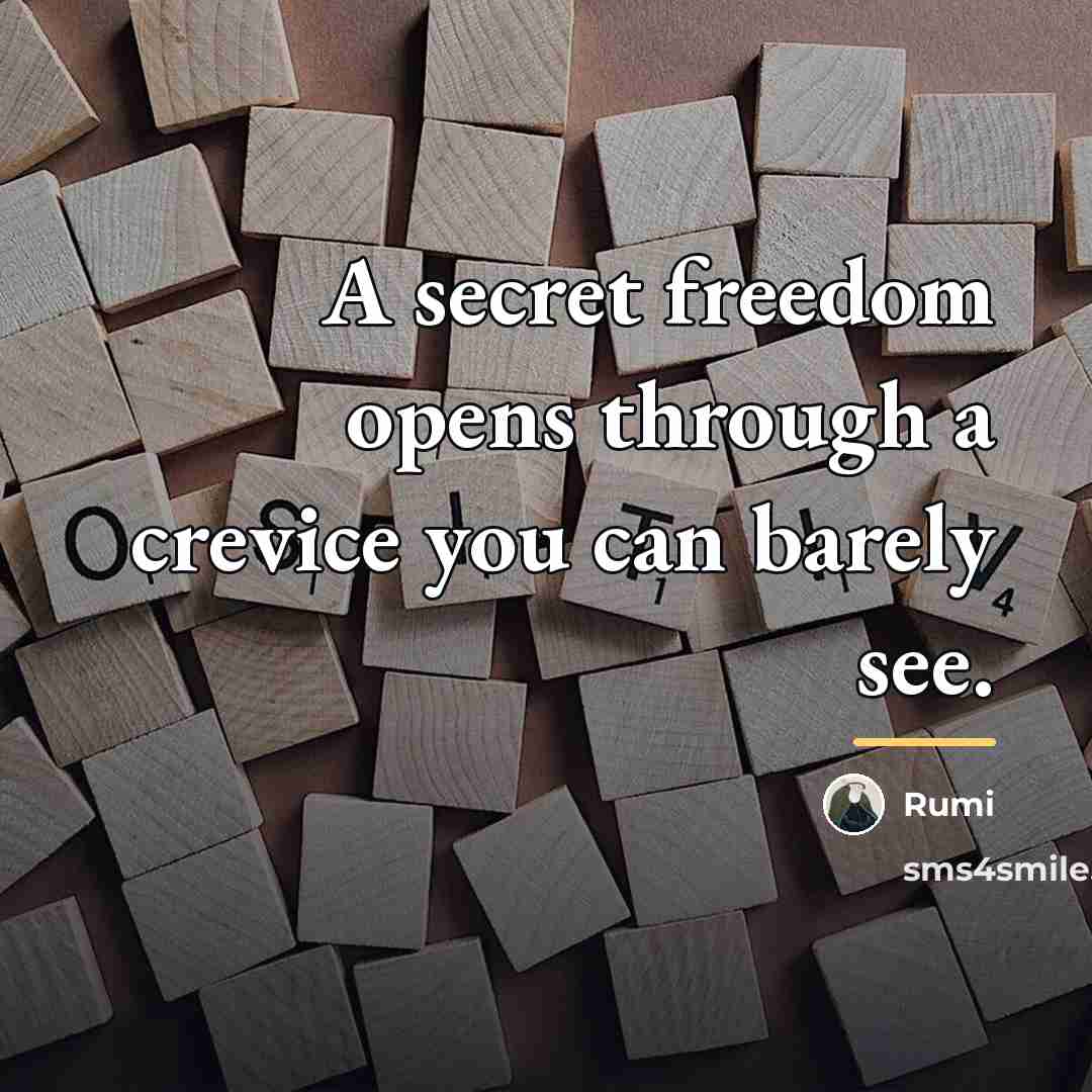 “A secret freedom opens through a crevice you can barely…” quote by Rumi