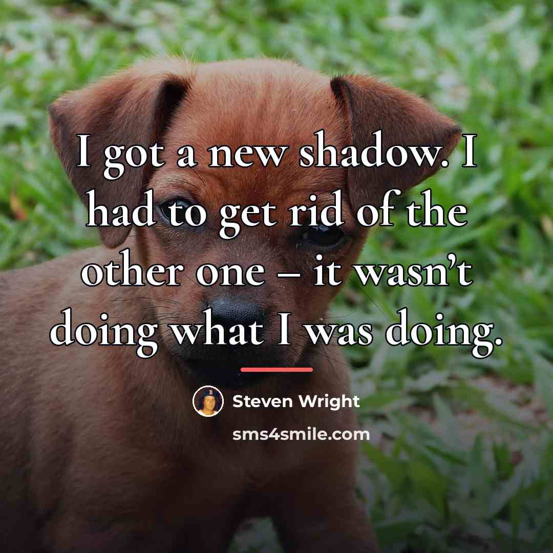 “I got a new shadow. I had to get rid…” quote by Steven Wright
