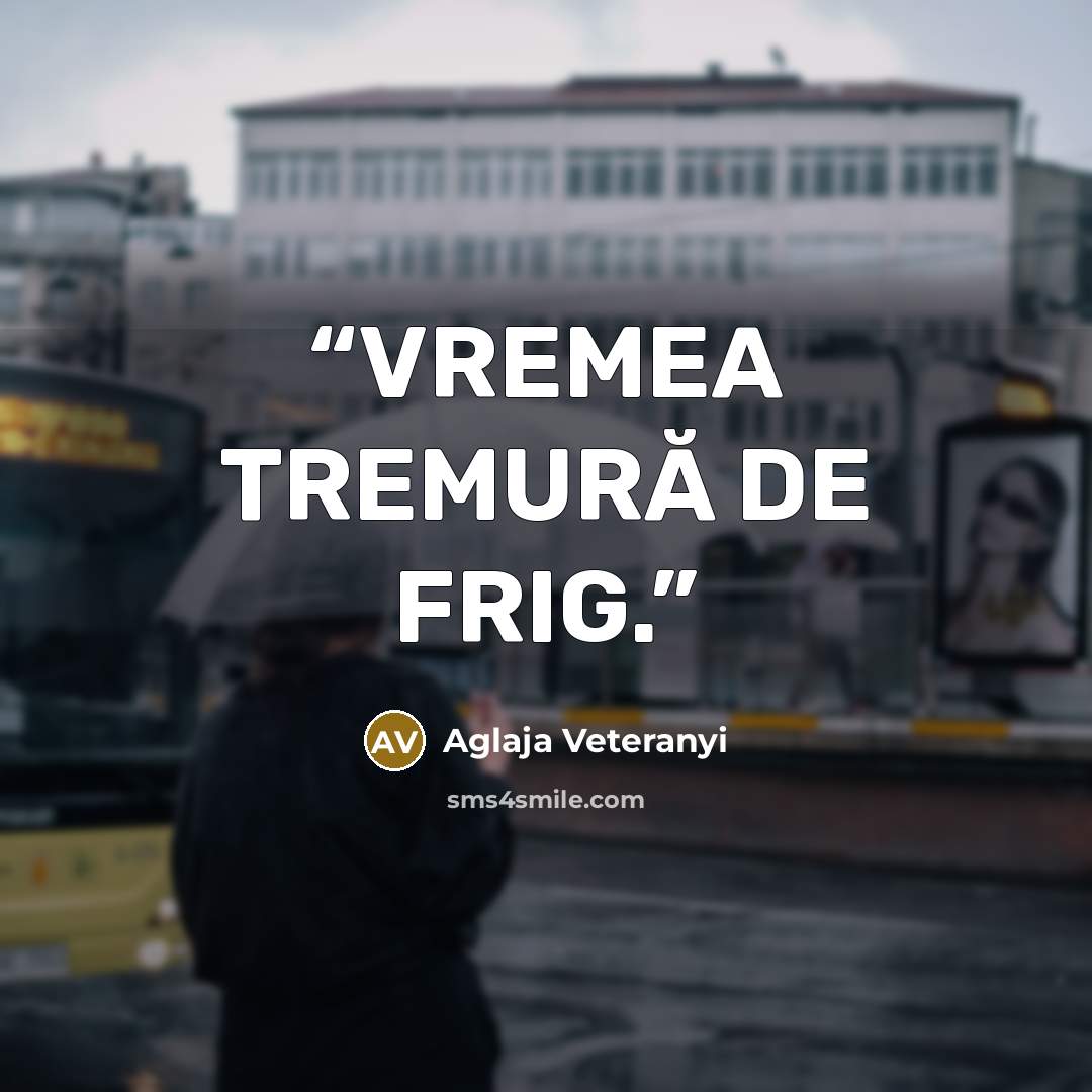 “VREMEA TREMURĂ DE FRIG.” quote by Aglaja Veteranyi
