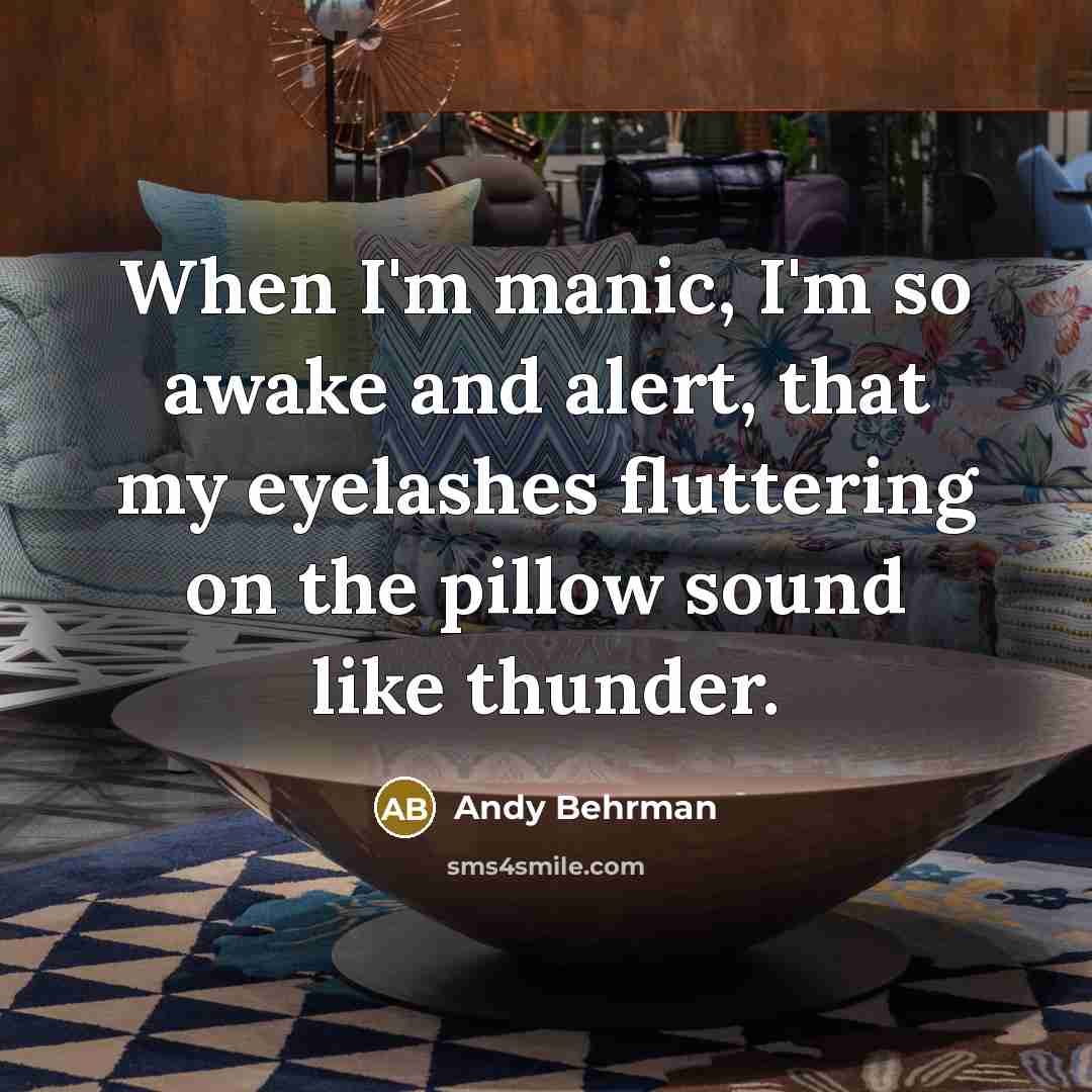 “When I'm manic, I'm so awake and alert, that my…” quote by Andy Behrman