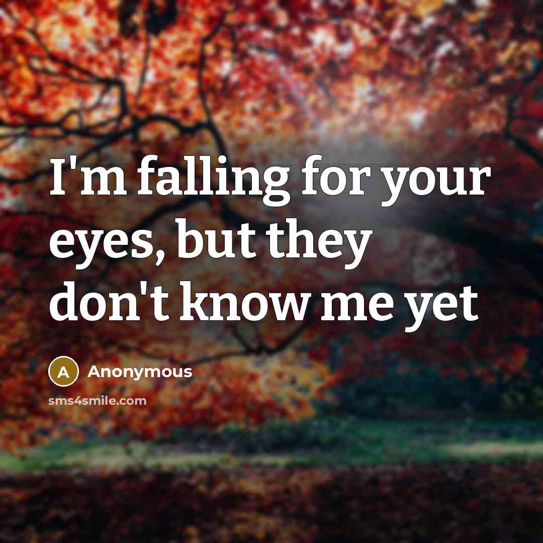 “I'm falling for your eyes, but they don't know me yet” quote by Anonymous