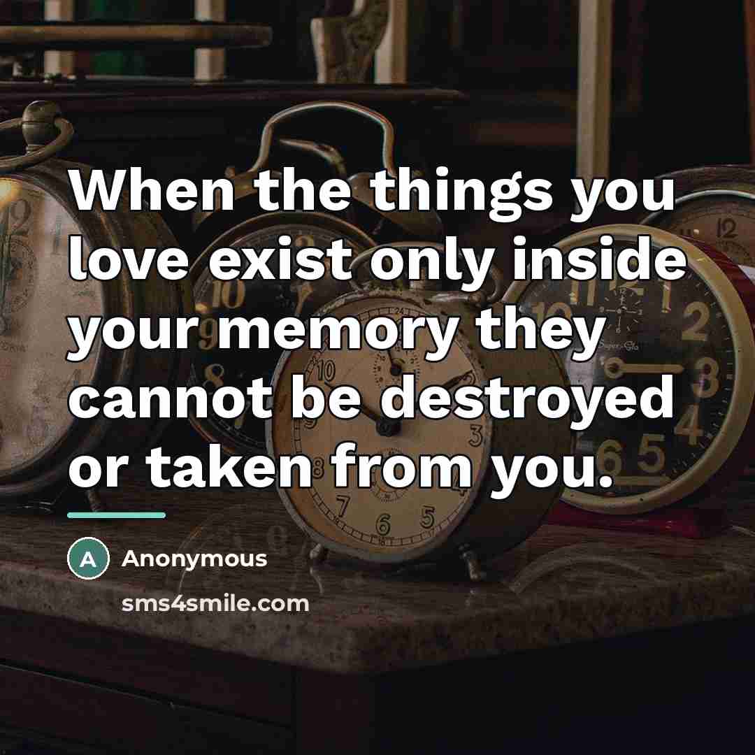 “When the things you love exist only inside your memory…” quote by Anonymous