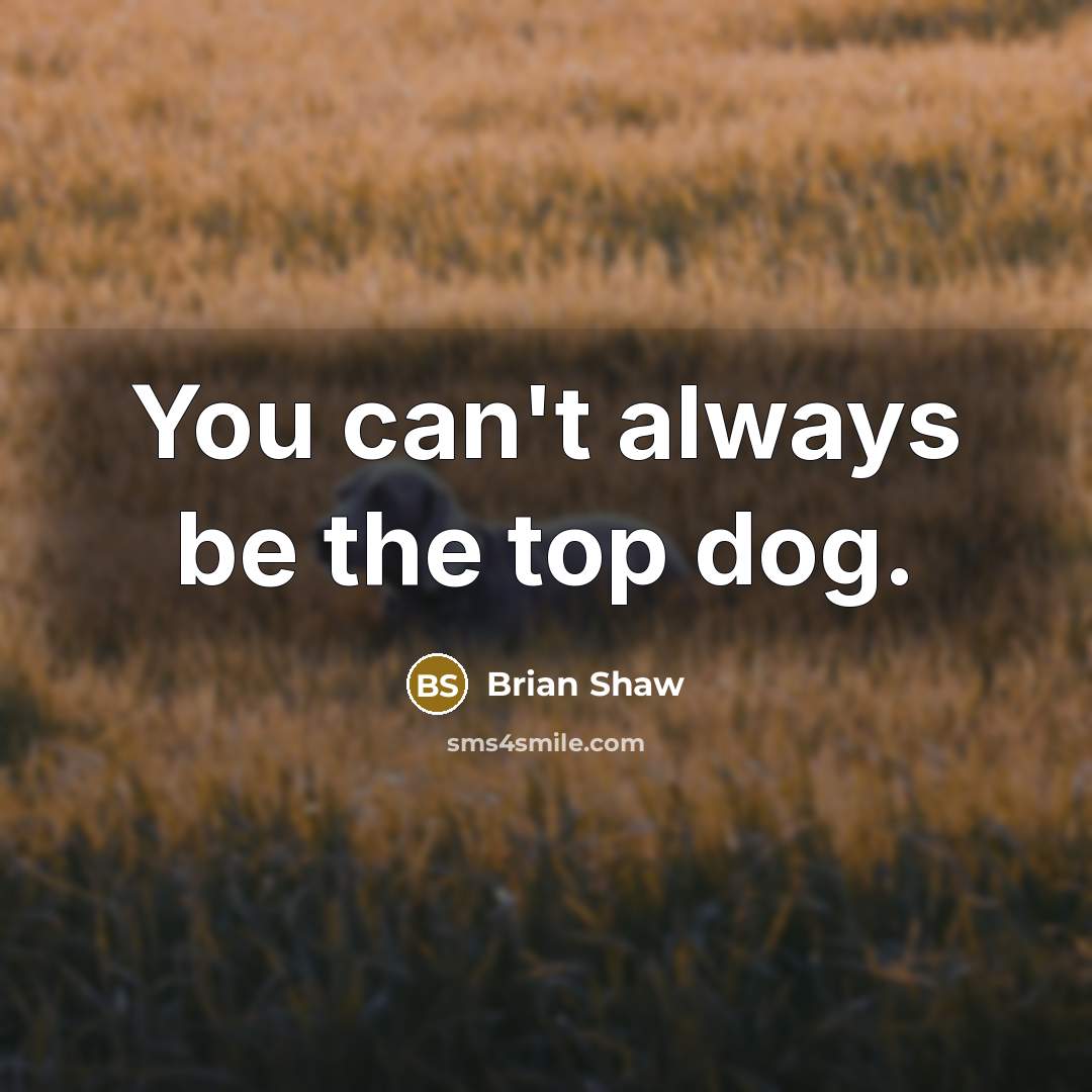 “You can't always be the top dog.…” quote by Brian Shaw