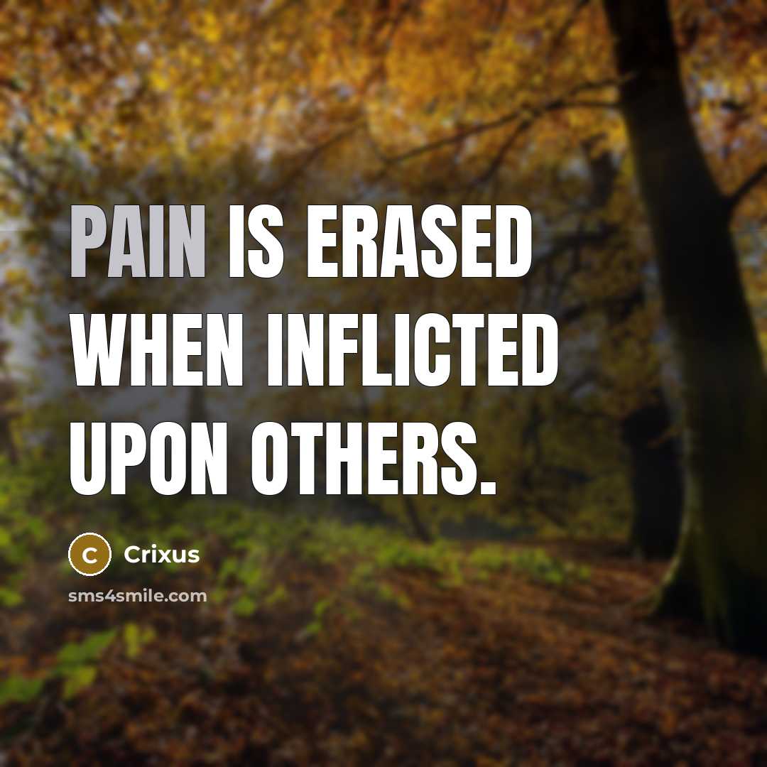 “Pain is erased when inflicted upon others.” quote by Crixus