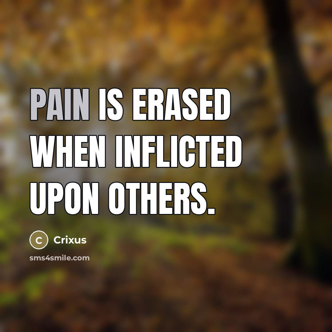 “Pain is erased when inflicted upon others.…” quote by Crixus