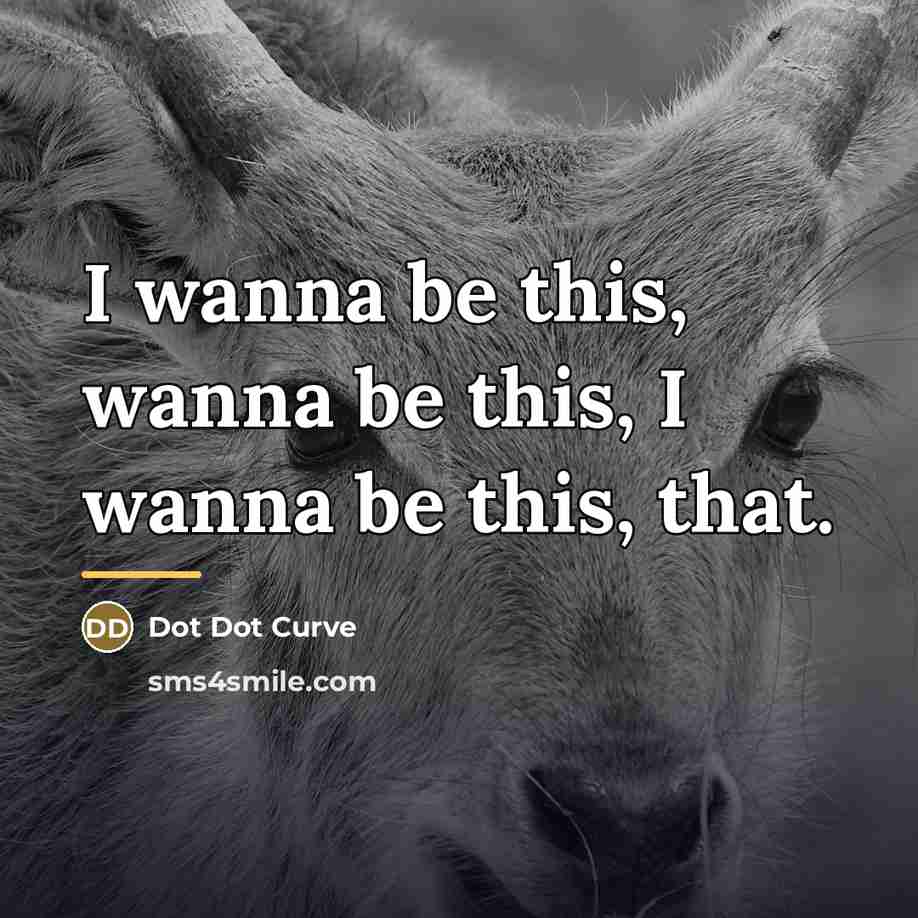 “I wanna be this, wanna be this, I wanna be…” quote by Dot Dot Curve