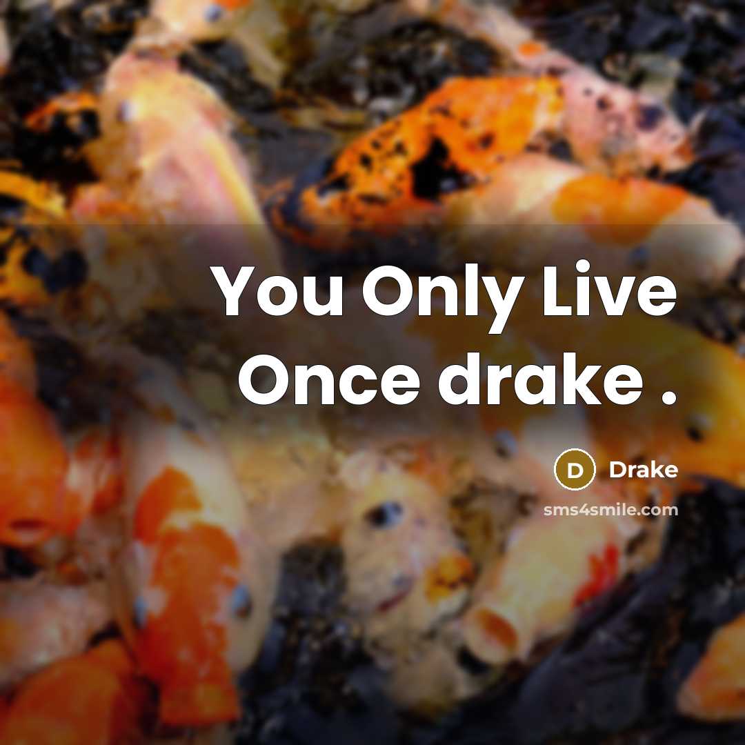 “You Only Live Once drake .” quote by Drake