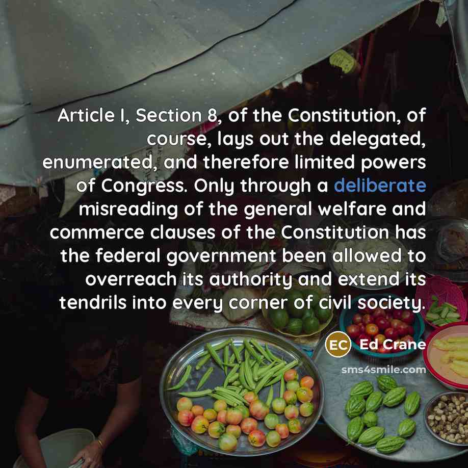 “Article I, Section 8, of the Constitution, of course, lays…” quote by Ed Crane