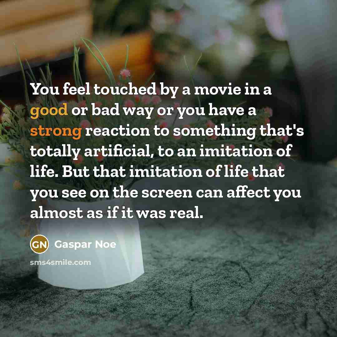 “You feel touched by a movie in a good or…” quote by Gaspar Noe