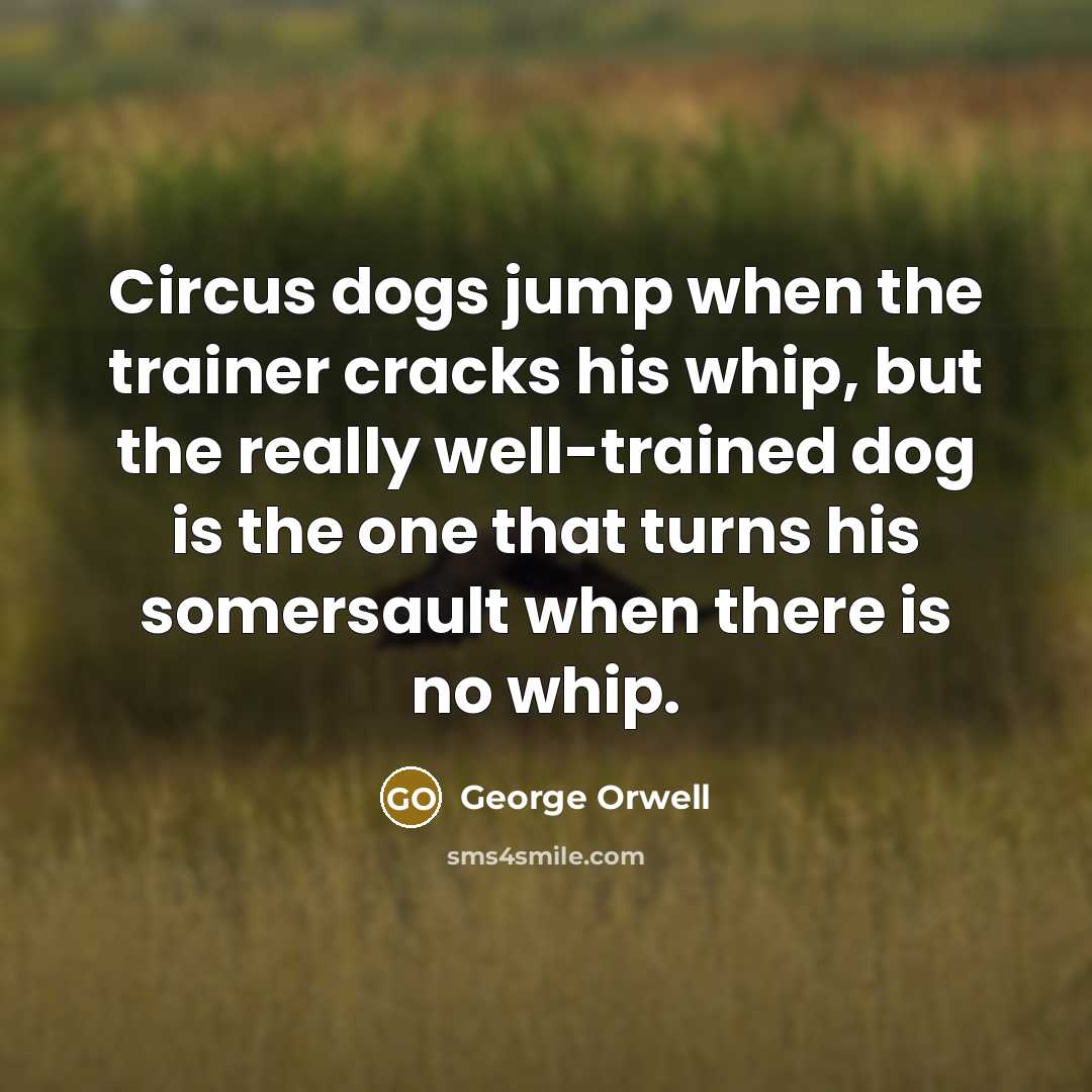 “Circus dogs jump when the trainer cracks his whip, but…” quote by George Orwell