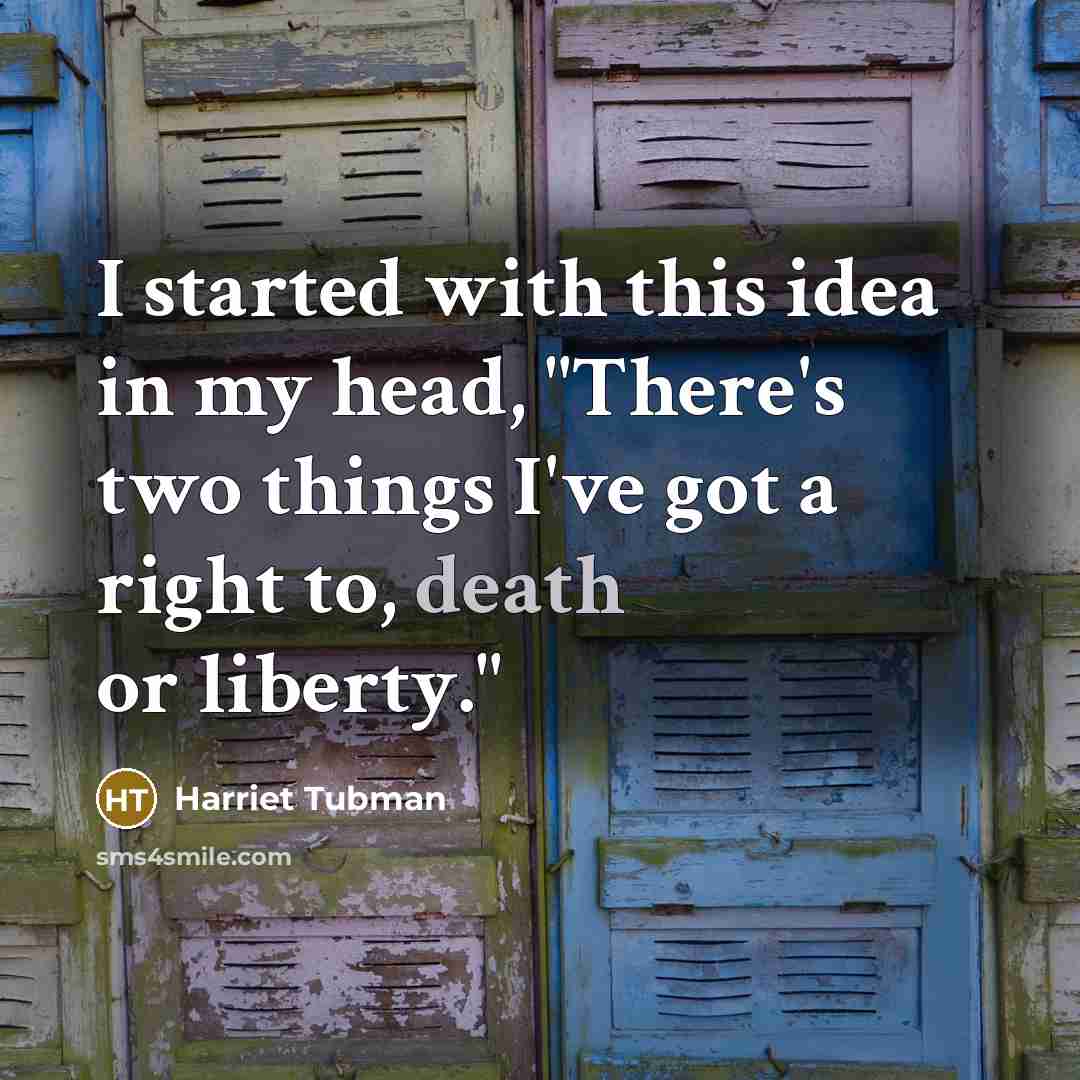 “I started with this idea in my head, "There's two…” quote by Harriet Tubman