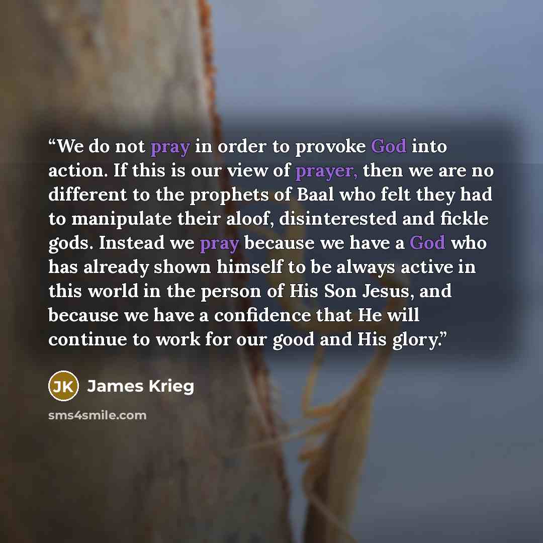 “We do not pray in order to provoke God into action. If this is our view of prayer, then we are no different to the prophets of Baal who felt they had to manipulate their aloof, disinterested and fickle gods. Instead we pray because we have a God who has already shown himself to be always active in…” quote by James Krieg