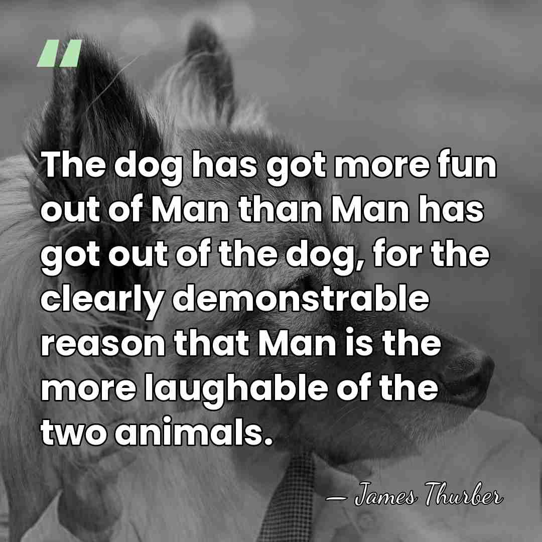 The dog has got more fun out of Man than Man has&hellip; - James Thurber