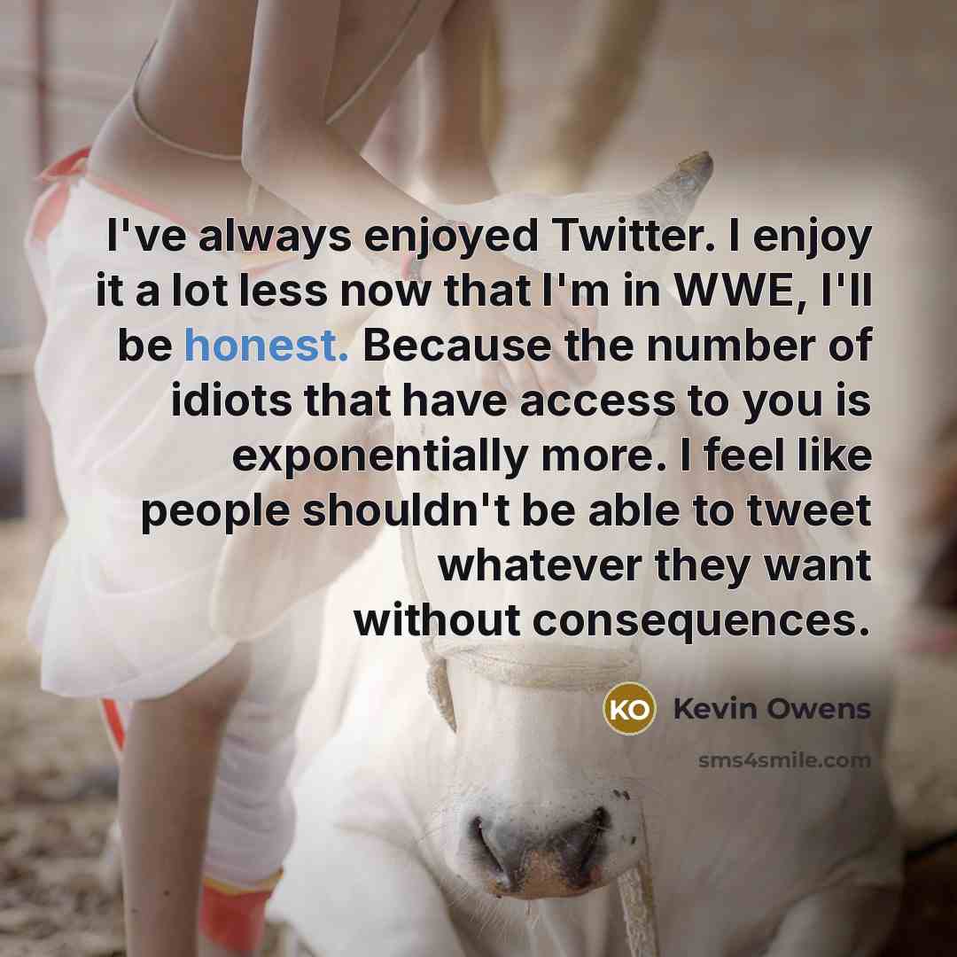 “I've always enjoyed Twitter. I enjoy it a lot less…” quote by Kevin Owens