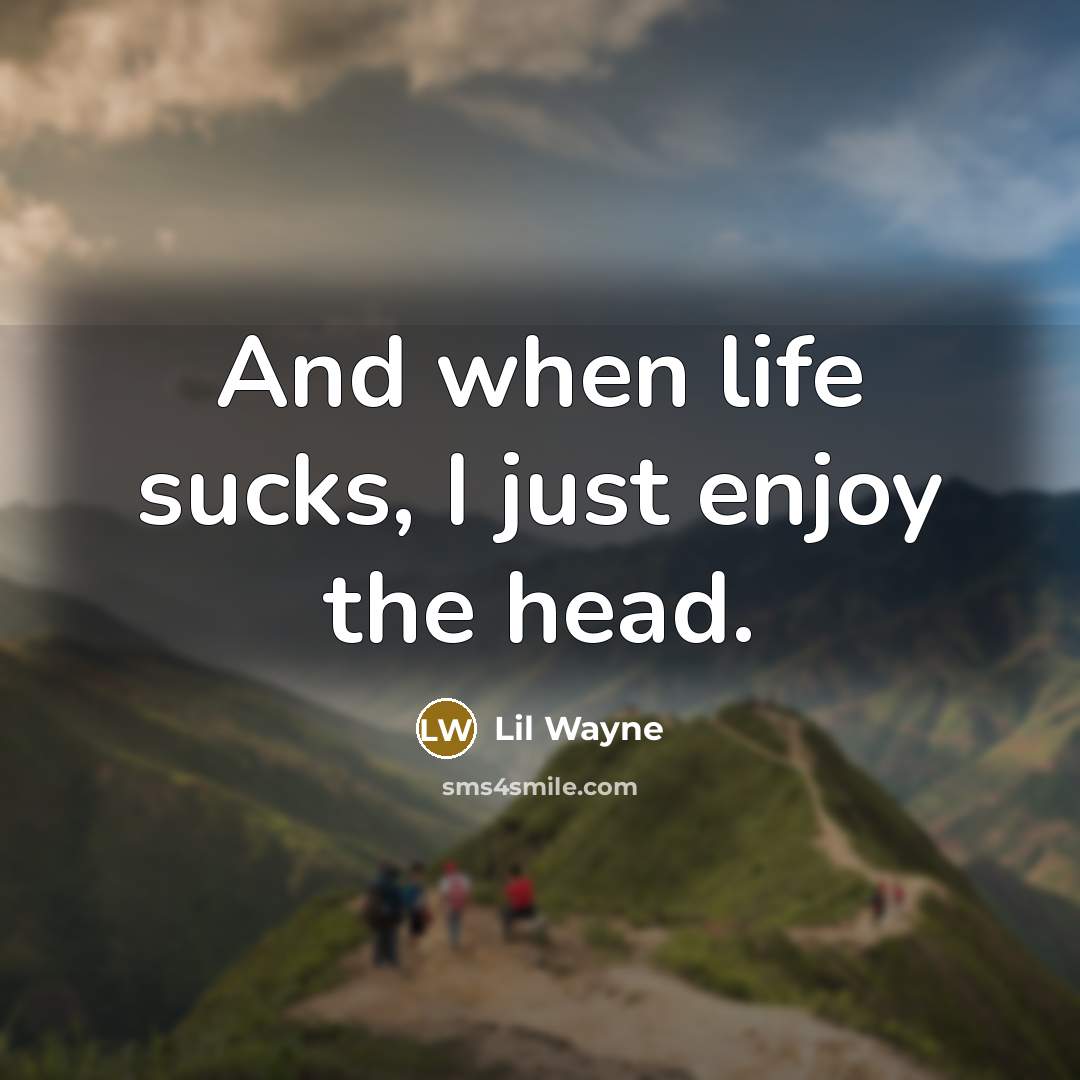 “And when life sucks, I just enjoy the head.…” quote by Lil Wayne