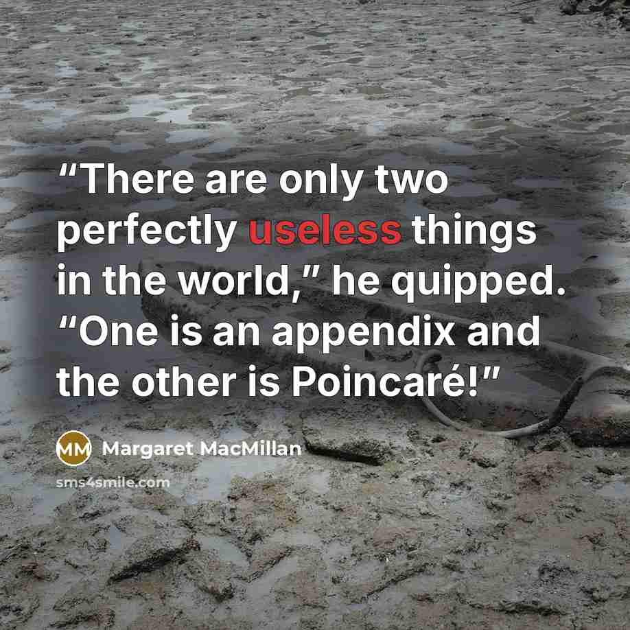 “There are only two perfectly useless things in the world,” he quipped. “One is an appendix and the other is Poincaré!” quote by Margaret MacMillan