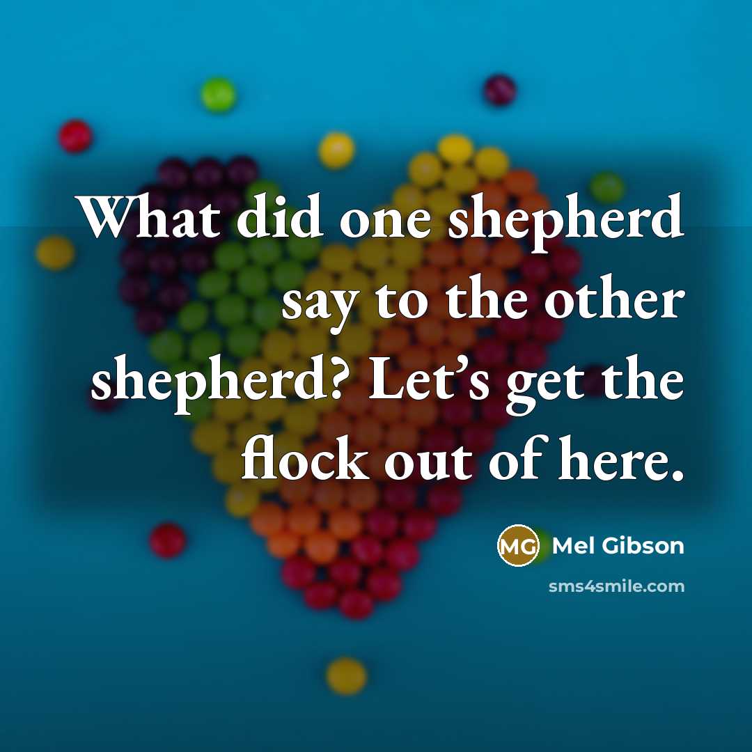 “What did one shepherd say to the other shepherd? Let’s…” quote by Mel Gibson