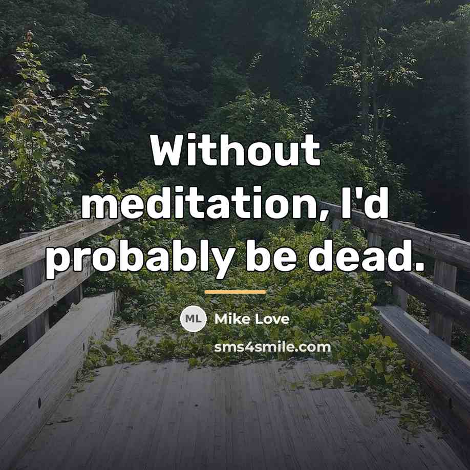 “Without meditation, I'd probably be dead.…” quote by Mike Love