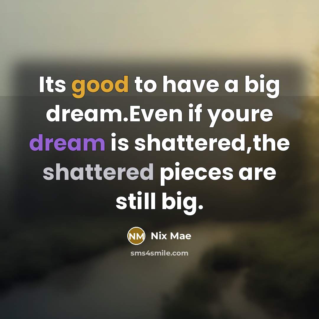 “Its good to have a big dream.Even if youre dream is shattered,the shattered pieces are still big.” quote by Nix Mae