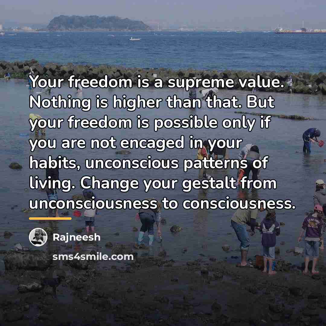 “Your freedom is a supreme value. Nothing is higher than…” quote by Rajneesh