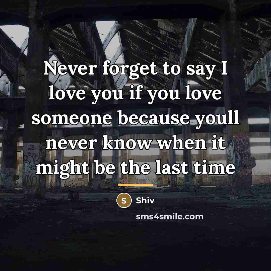 “Never forget to say I love you if you love…” quote by Shiv