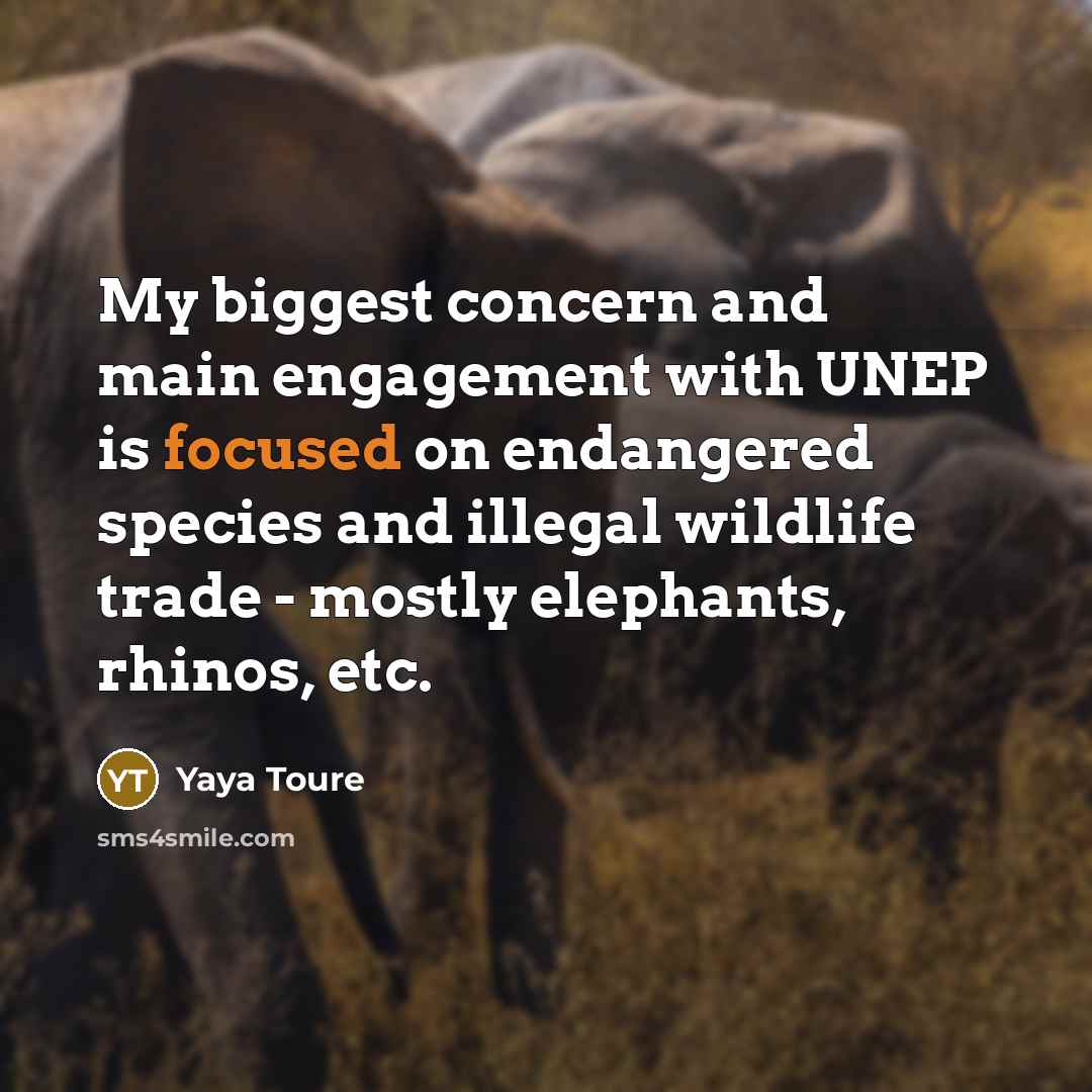 “My biggest concern and main engagement with UNEP is focused…” quote by Yaya Toure