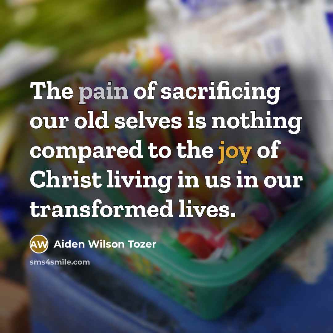 “The pain of sacrificing our old selves is nothing compared…” quote by Aiden Wilson Tozer