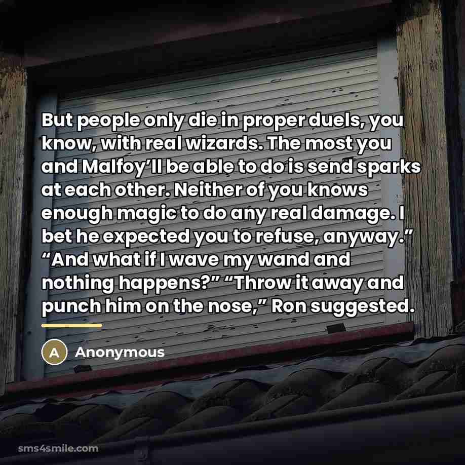 “But people only die in proper duels, you know, with…” quote by Anonymous
