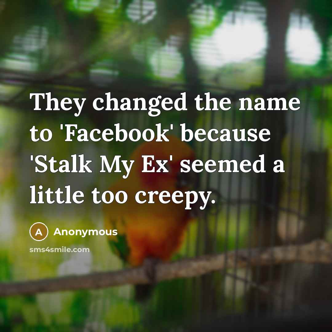 “They changed the name to 'Facebook' because 'Stalk My Ex' seemed a little too creepy.” quote by Anonymous
