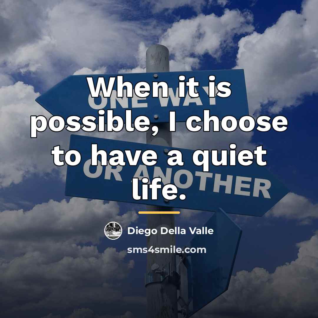 “When it is possible, I choose to have a quiet…” quote by Diego Della Valle