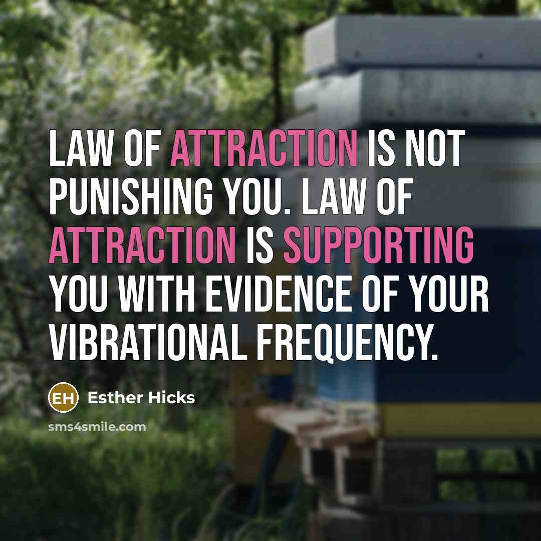 “Law of Attraction is not punishing you. Law of Attraction…” quote by Esther Hicks