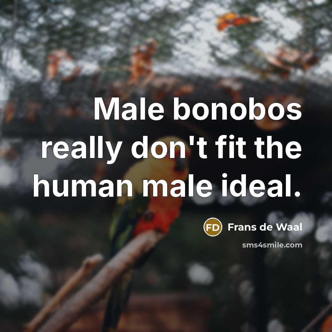 “Male bonobos really don't fit the human male ideal.” quote by Frans de Waal
