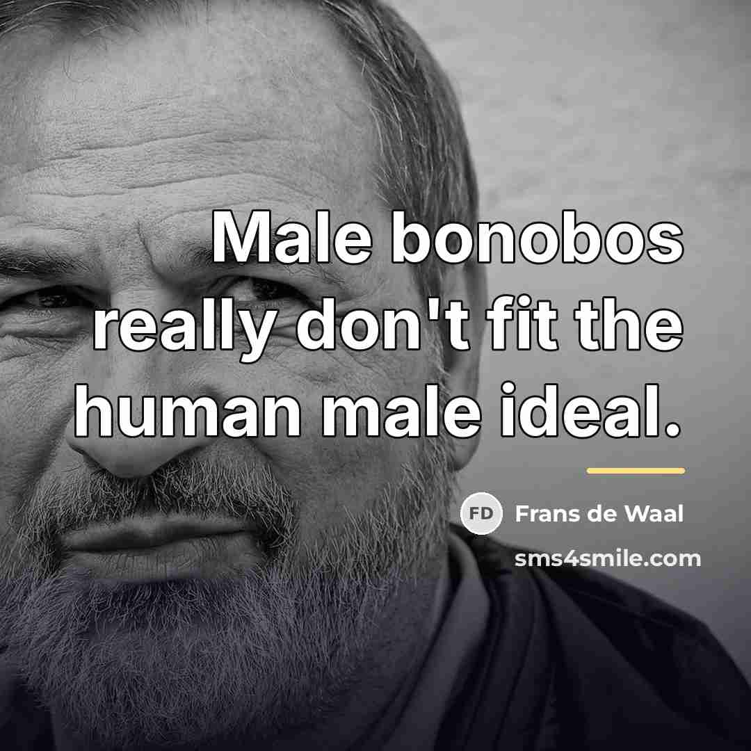 “Male bonobos really don't fit the human male ideal.…” quote by Frans de Waal