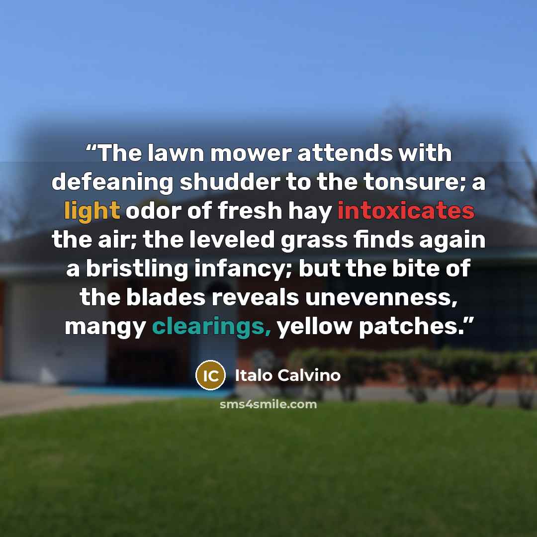 “The lawn mower attends with defeaning shudder to the tonsure; a light odor of fresh hay intoxicates the air; the leveled grass finds again a bristling infancy; but the bite of the blades reveals unevenness, mangy clearings, yellow patches.” quote by Italo Calvino